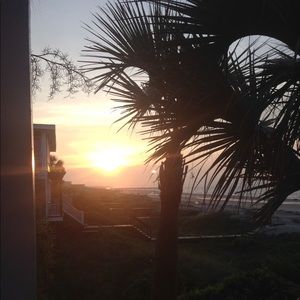 Meet your Posher, Annabelle